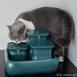 Miaustore Cat Water Fountain